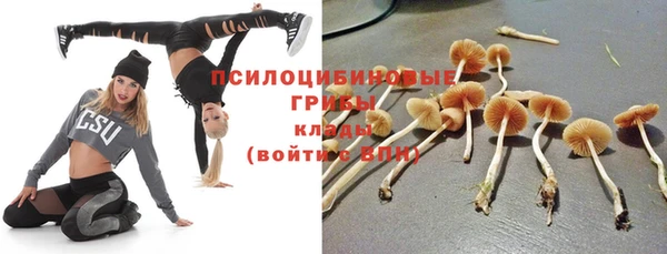 дмт Белокуриха