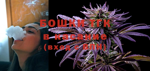 таблы Богородицк