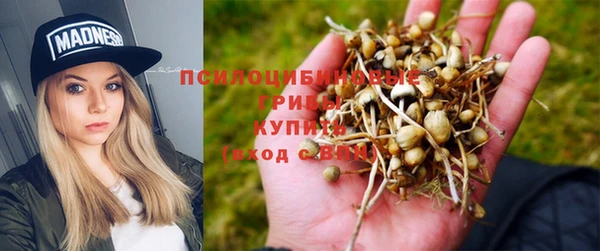 меф Богданович