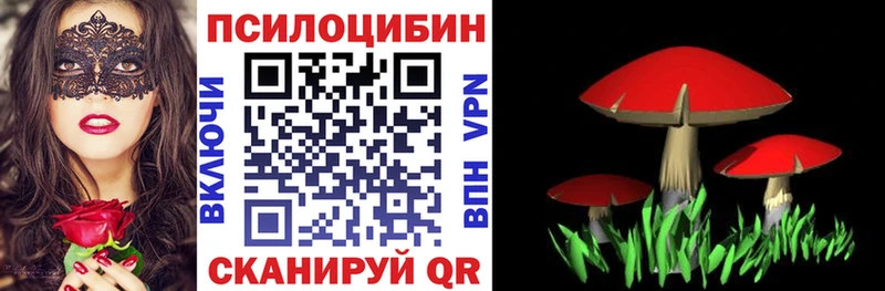 МЕГА сайт  купить закладку  дарк нет какой сайт  Псилоцибиновые грибы мицелий  Каменск-Уральский 