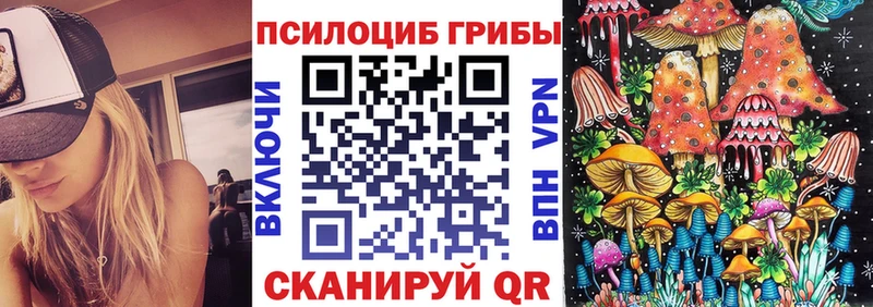 Псилоцибиновые грибы Cubensis Каменск-Уральский