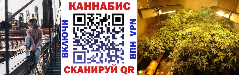 Бошки марихуана планчик  гидра ТОР  Каменск-Уральский  где найти наркотики 
